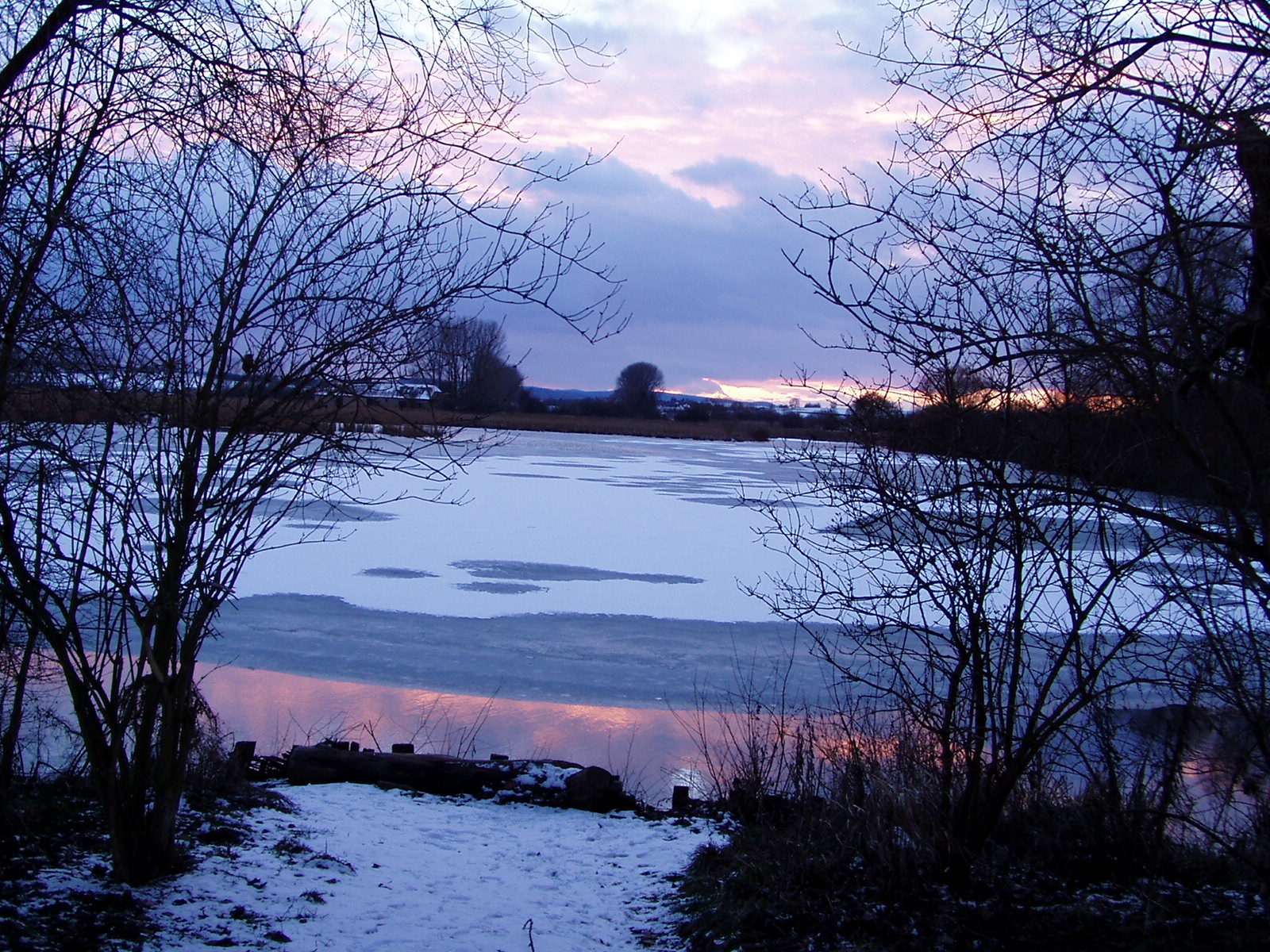 Ansicht des Reinheimer Teiche im Winter